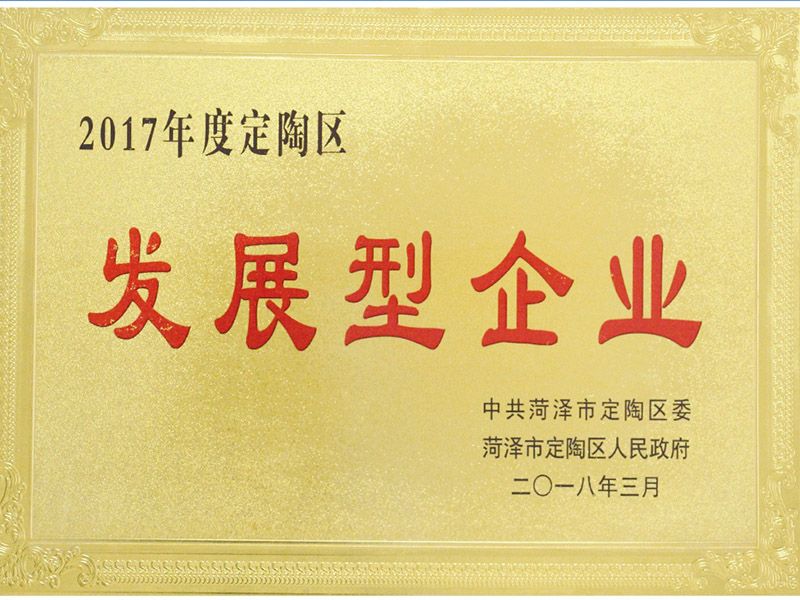 2017年度定陶發展型企業